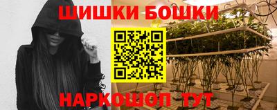 шишки Нальчик