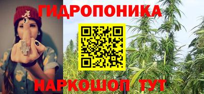 шишки Нальчик