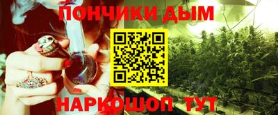 шишки Нарткала