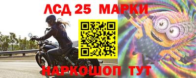 шишки Нальчик