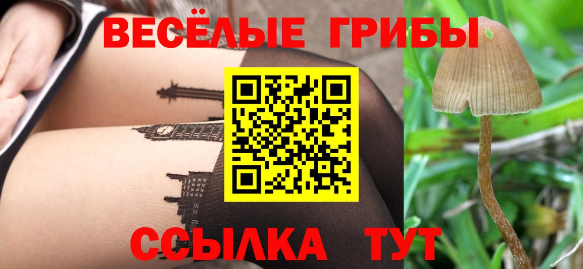 Снежинск  Галлюциногенные грибы MAGIC MUSHROOMS  Вход с VPN 