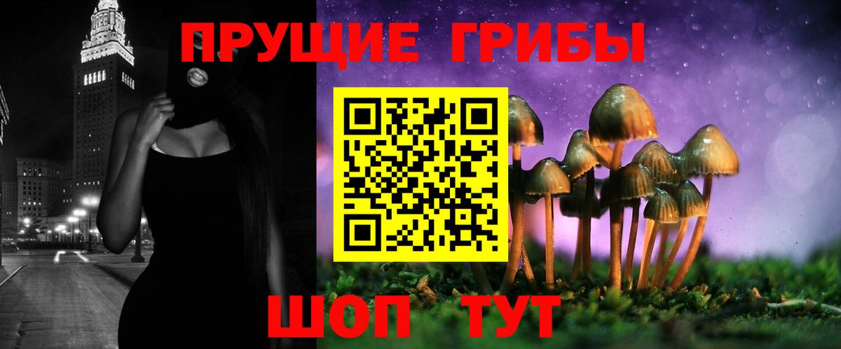 Псилоцибиновые грибы мицелий Снежинск