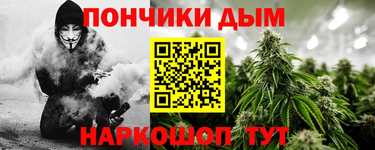 Каннабис индика Снежинск